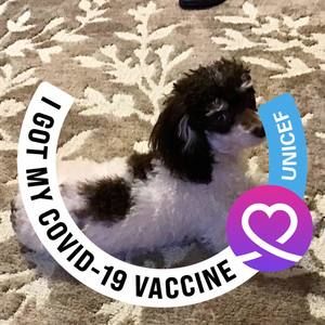 Meet your Posher, Barbara